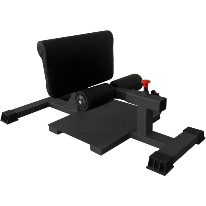 Сисси присед BRONZE GYM PARTNER AL-203 — изображение 1