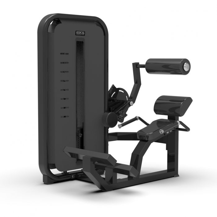 Разгибание спины профессиональный BRONZE GYM MIGHT 23 — изображение 1
