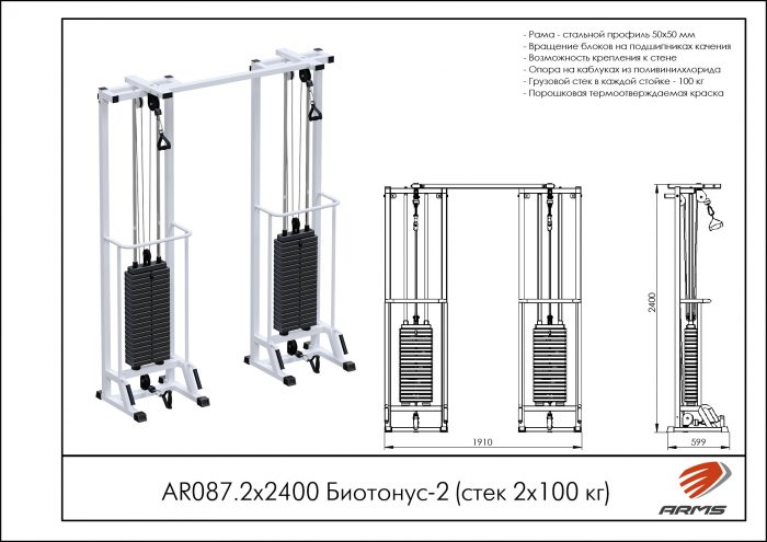 Биотонус-2 (стек 2х100кг) — изображение 2