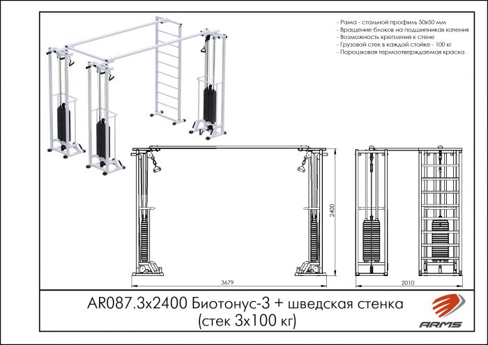Биотонус-3+шведская стенка (стек 3х100кг) — изображение 2
