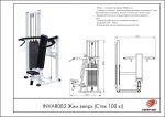 Жим вверх (Стек 100 кг) — изображение 2
