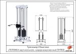 Тренажер Ильясова «ТЕЛЕЖКА вертикальная», модернизированный — изображение 2