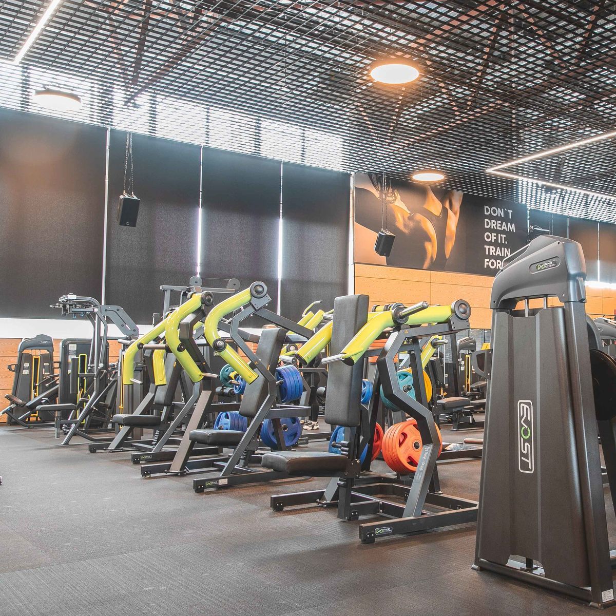 Y970Z Бицепс-машина сидя - Image 4